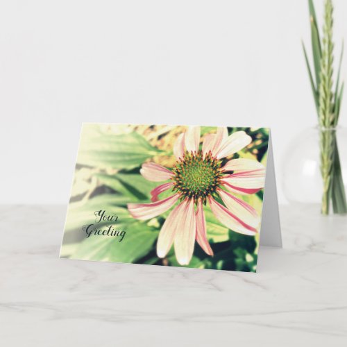 Pink Coneflower  Any Occasion Personalizable  Card