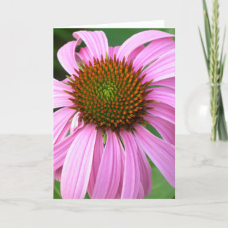 Pink Coneflower Birthday Card