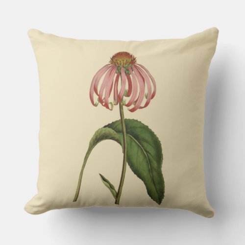 Pink Coneflower Botanical Outdoor Pillow 20 x 20