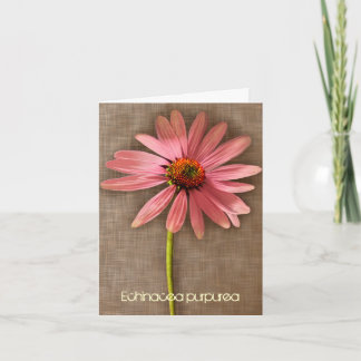 Pink Coneflower Echinacea purpurea Thank You Card