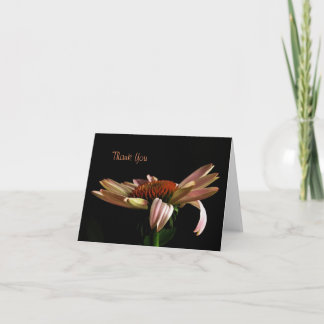 Pink Coneflower Thank You Note Card