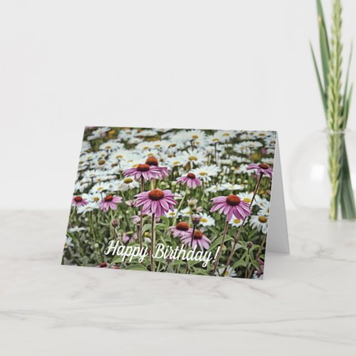 Pink Coneflowers and Daisies Happy Birthday Card
