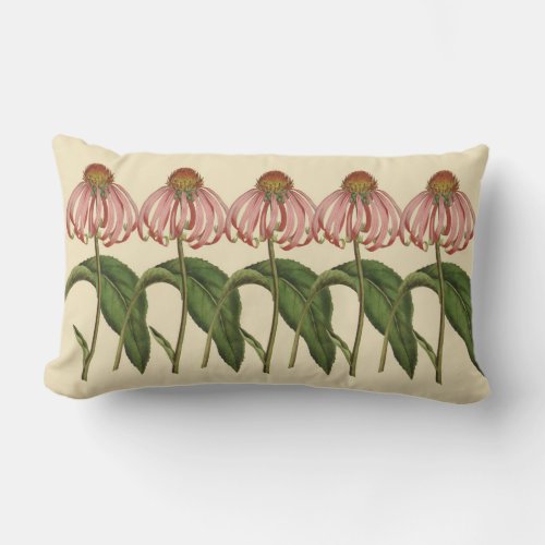 Pink Coneflowers Botanical Outdoor Lumbar Pillow