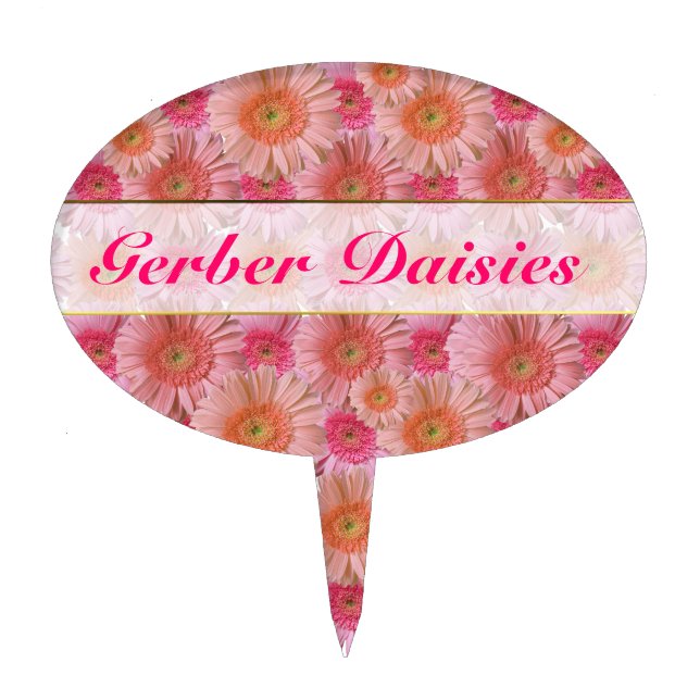 Pink & Coral Gerber Daisies Custom Plant Marker Cake Topper (Front)