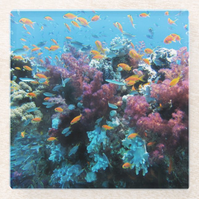 Pink Coral Glass Coaster (Front)