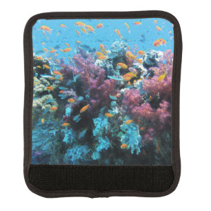 Pink Coral Luggage Handle Wrap