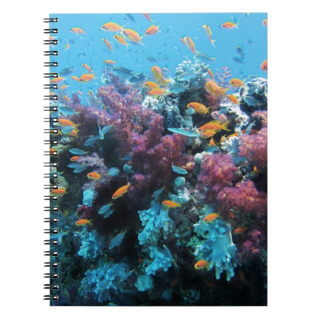 Pink Coral Notebook (Front)