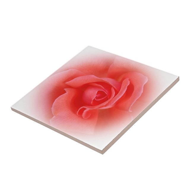 pink coral rose ceramic tile (Side)