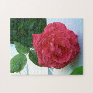 Pink coral rose jigsaw puzzle