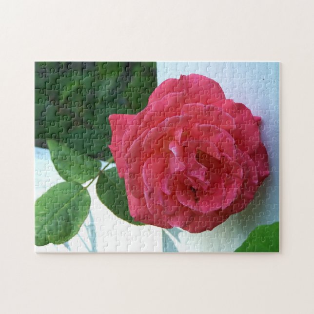 Pink coral rose jigsaw puzzle (Horizontal)