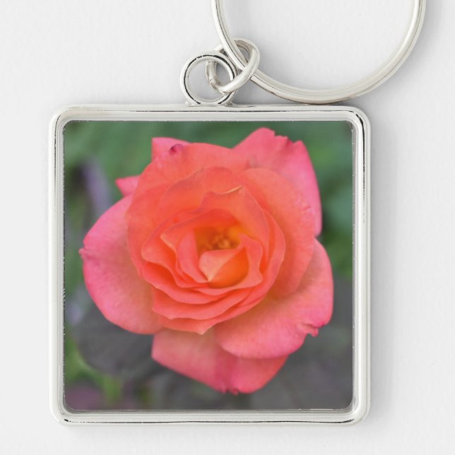 Pink Coral Rose Nature Photography Flower Plant Keychain (Front)