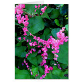 Pink Coral Vine (Front)