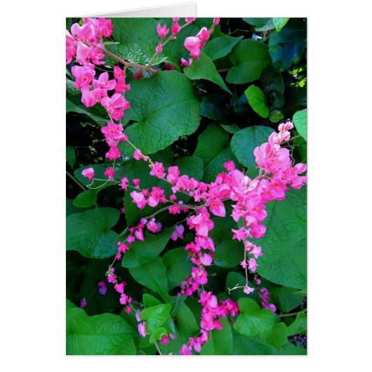 Pink Coral Vine Cards (Front)