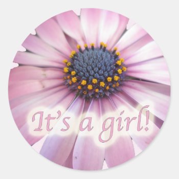 Pink Coreopsis Daisy It's A Girl New Baby Stickers by CarolsCamera at Zazzle