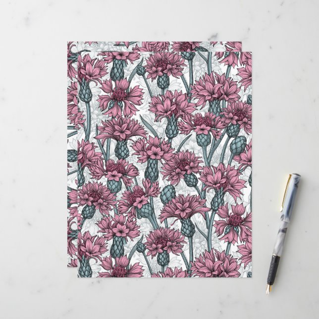 Pink cornflowers, wild flowers on white (Front/Back In Situ)