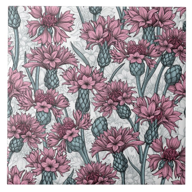 Pink cornflowers, wild flowers on white ceramic tile (Front)