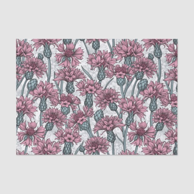 Pink cornflowers, wild flowers on white tissue paper (Front)