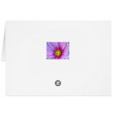 Pink Cosmos (Back Horizontal)