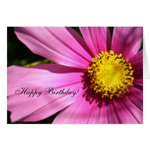 Pink Cosmos Flower Happy Birthday Cards | Zazzle