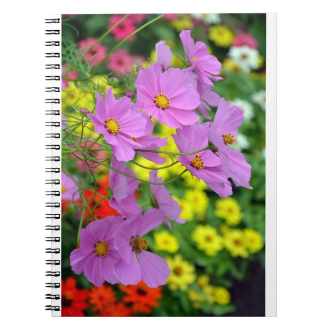 Pink cosmos flower print notebook (Front)