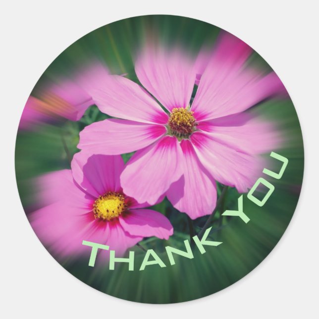 Pink Cosmos Flower Thank You Classic Round Sticker (Front)