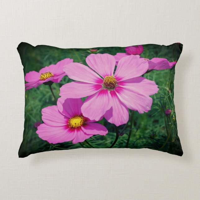 Pink Cosmos Flowers  Accent Pillow (Front)