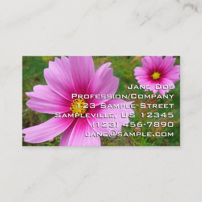 Pink Cosmos Flowers Business Card (Front)