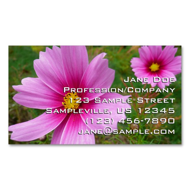 Pink Cosmos Flowers Business Card Magnet (Front)