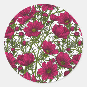 Pink Cosmos flowers Classic Round Sticker