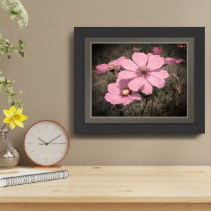 Pink Cosmos Flowers Partial Color Framed Art