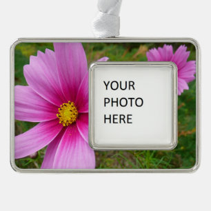 Pink Cosmos Flowers Wildflower Christmas Ornament