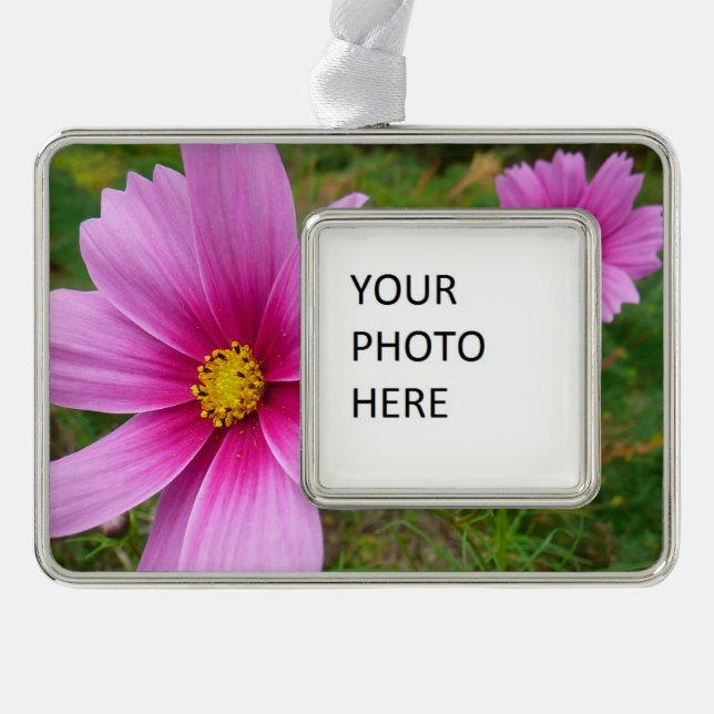 Pink Cosmos Flowers Wildflower Christmas Ornament (Front)