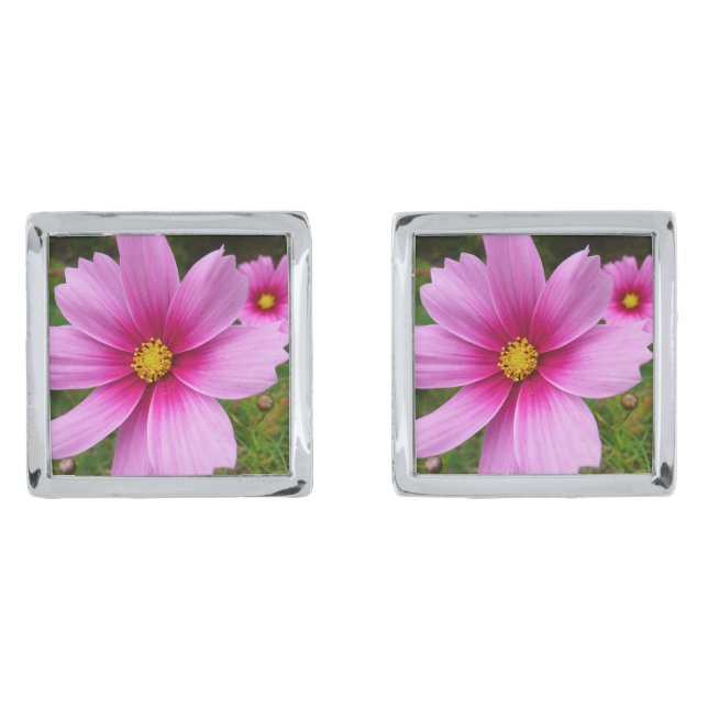Pink Cosmos Flowers Wildflower Cufflinks (Front)