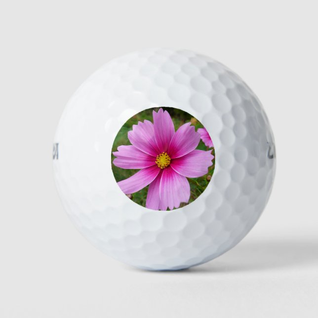 Pink Cosmos Flowers Wildflower Golf Balls (Front)