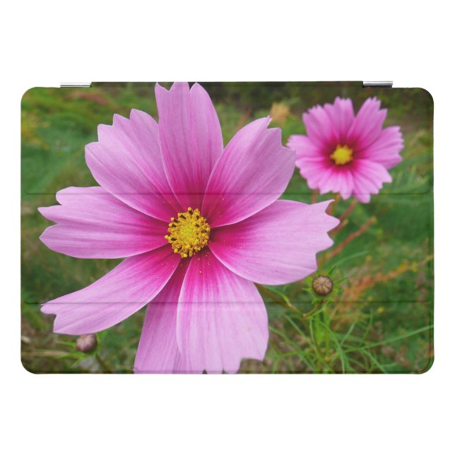 Pink Cosmos Flowers Wildflower iPad Pro Cover (Horizontal)
