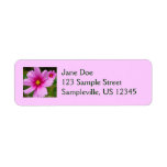 Pink Cosmos Flowers Wildflower Label