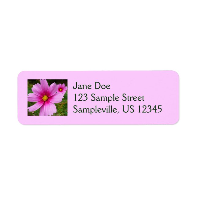 Pink Cosmos Flowers Wildflower Label (Front)