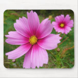 Pink Cosmos Flowers Wildflower Mouse Pad