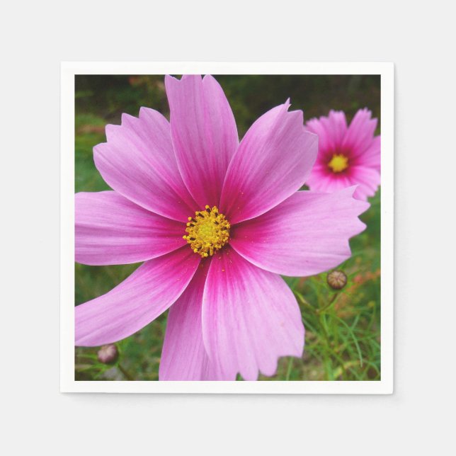 Pink Cosmos Flowers Wildflower Napkins (Front)