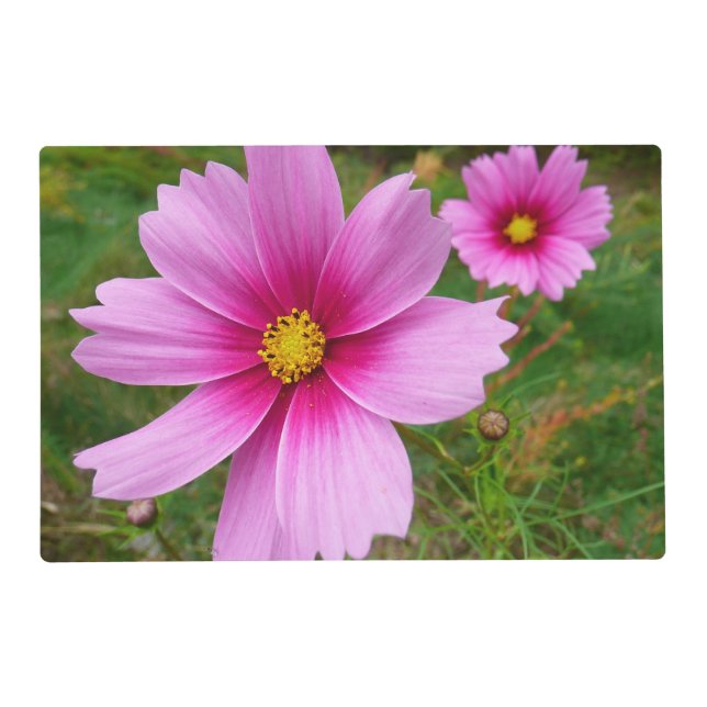 Pink Cosmos Flowers Wildflower Placemat (Front)