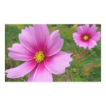 Pink Cosmos Flowers Wildflower Rectangular Sticker