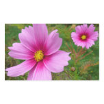 Pink Cosmos Flowers Wildflower Rectangular Sticker