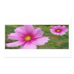 Pink Cosmos Flowers Wildflower Rectangular Sticker
