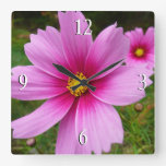 Pink Cosmos Flowers Wildflower Square Wall Clock