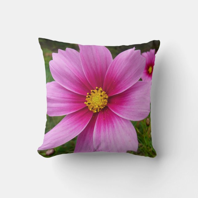Pink Cosmos Flowers Wildflower Throw Pillow (Front)