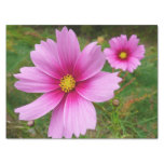 Pink Cosmos Flowers Wildflower Tissue Paper