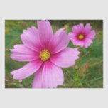 Pink Cosmos Flowers Wildflower Tissue Paper
