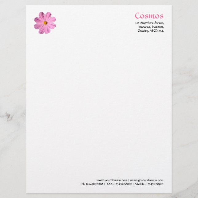 Pink Cosmos Letterhead (Front)