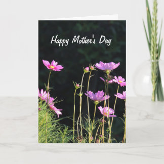 Pink Cosmos Mother's Day Card