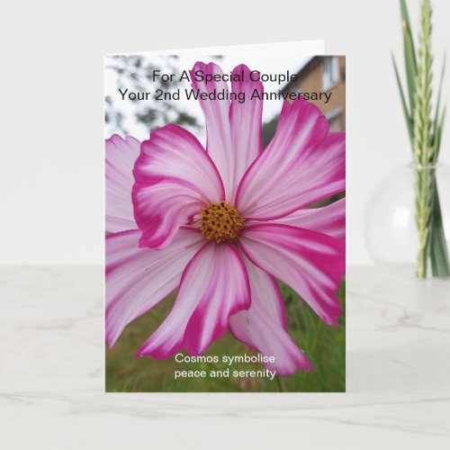 Pink Cosmos Personalised 2nd Wedding Anniversary Card